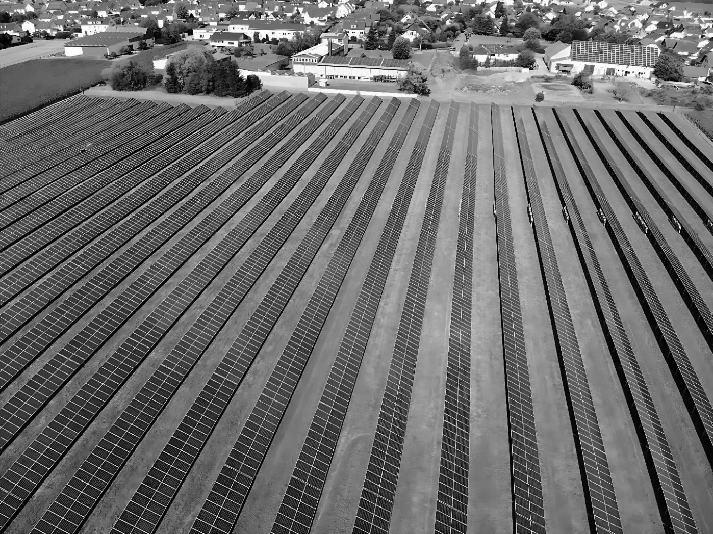 Interaktives Webinar zu globalen Energiemärkten